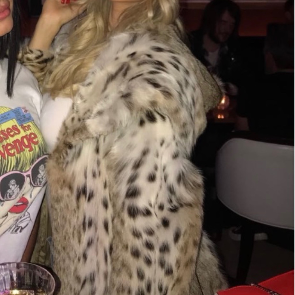 Lynx Fur